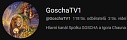 goschaTV1